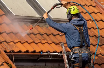 Démoussage et hydrofuge de toiture à Pélussin